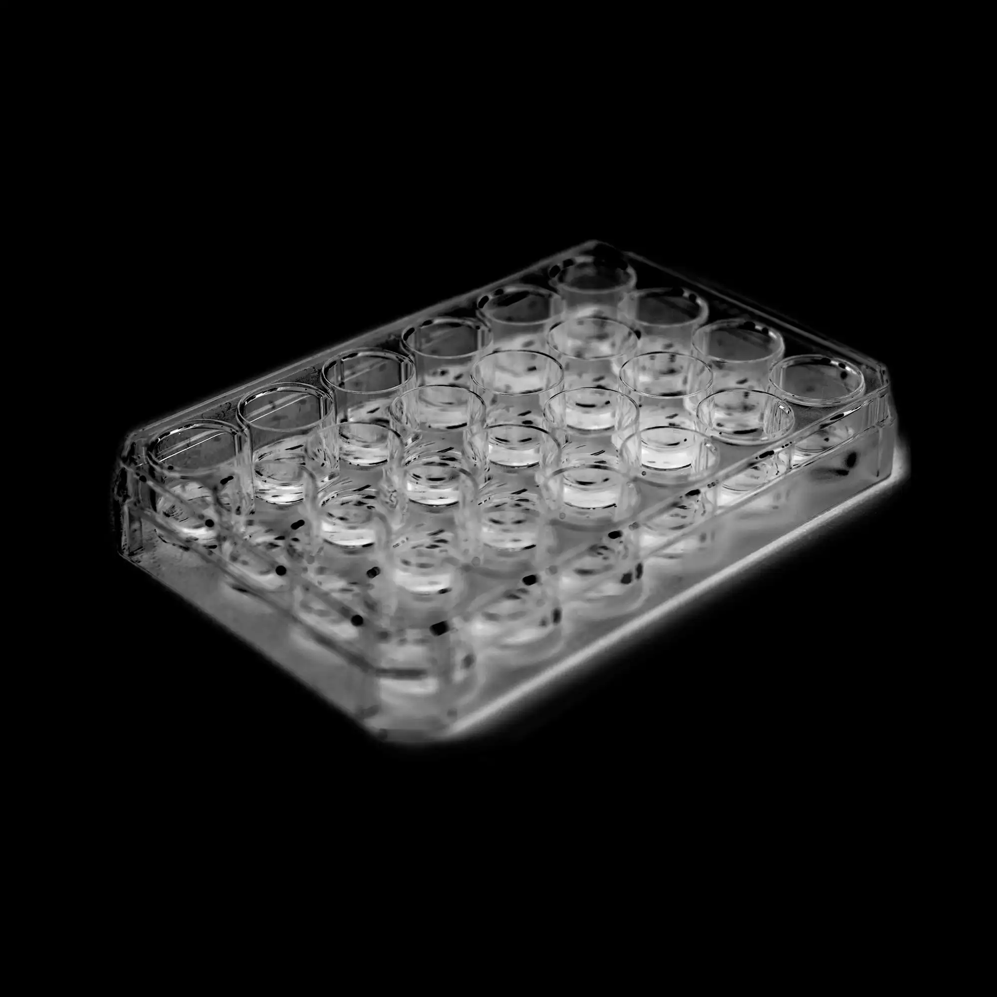 X-ray Irradiation Systems | KUBTEC Scientific